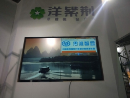 洋紫荊牙科器材國博展會